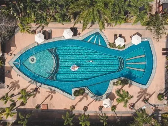 Botany Beach Resort - Havuz