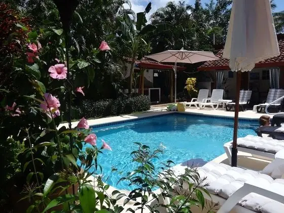 Villa Botero By Casa Mojito B&B - Havuz