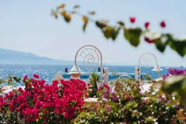Bougainville Bay Serviced Apartments - Dış Mekan
