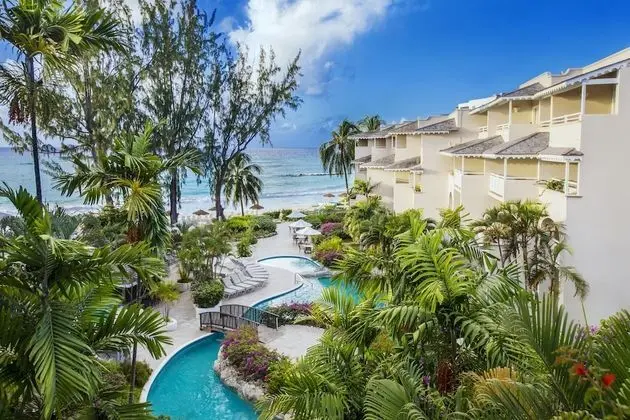 Bougainvillea Barbados