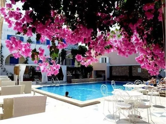 Bougainvillea Suites