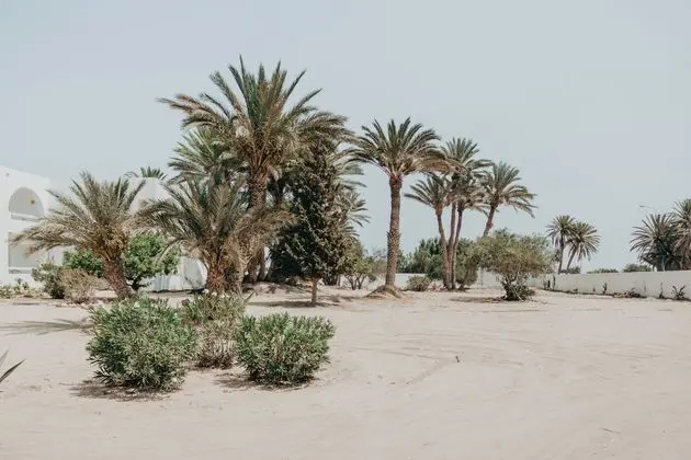 Hotel Bougainvillier Djerba - Dış Mekan