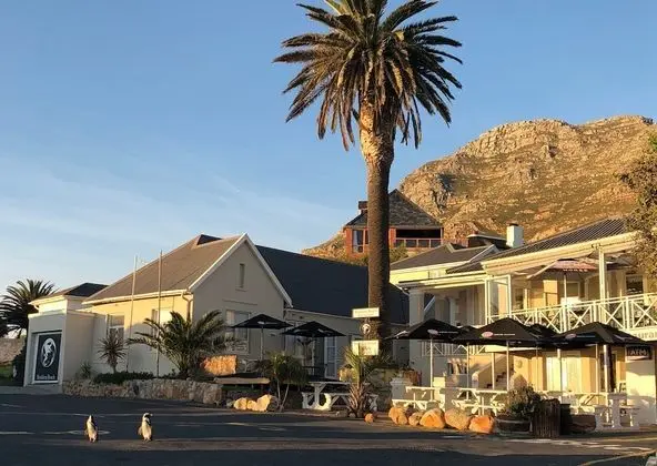 Boulders Beach Hotel, Cafe and Curio
