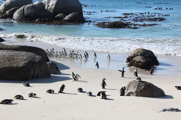 Boulders Beach House - Plaj