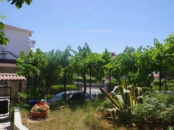 Boutique Apartment in Pješcana Uvala With Balcony - Dış Mekan