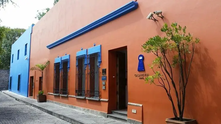 Boutique Casareyna