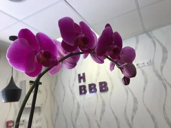Hotel Boutique Centro BBB - Lobi