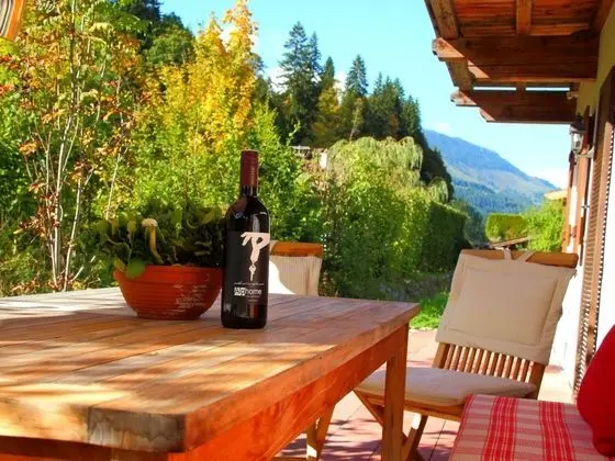 Boutique Chalet in Kirchberg With Private Terrace and Garden - Dış Mekan