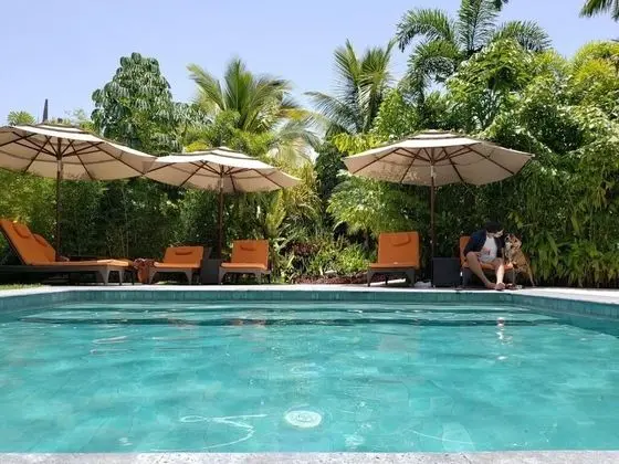 Hotel Boutique Compañia de Especias - Havuz