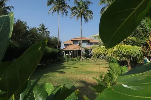 Boutique Health-focused Hotel on the Beach in Sri Lanka, Just North of Colombo - Mülk Olanakları