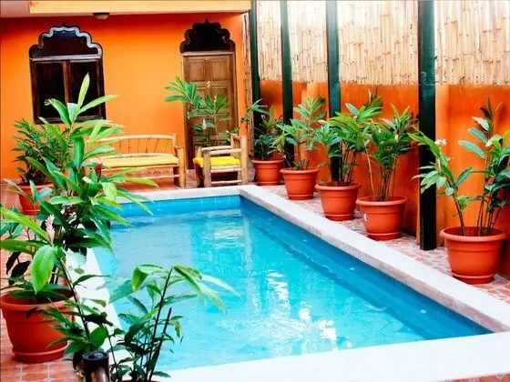 Boutique Hotel Maharaja - Havuz