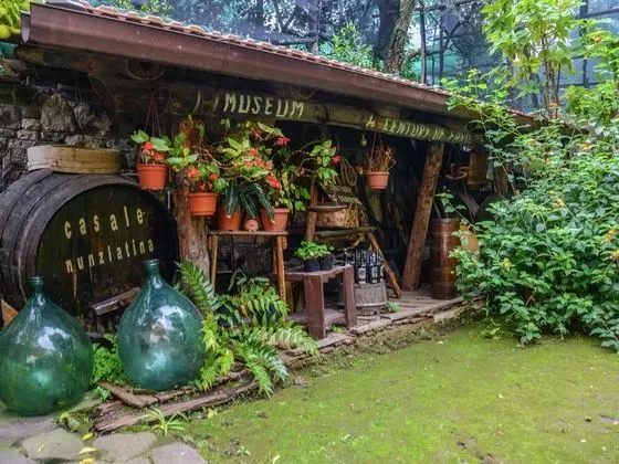 Boutique Mansion in Sorrento With Picturesque View - Dış Mekan
