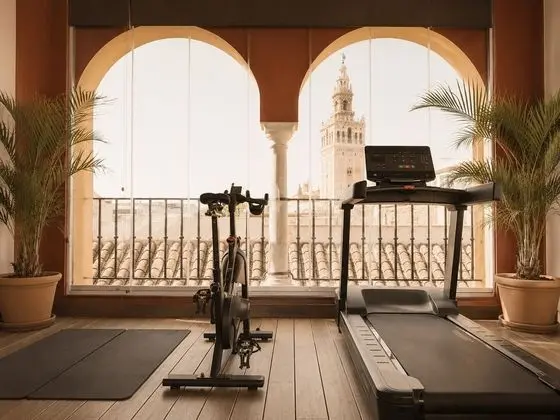 Hotel Boutique Palacio Pinello - Fitness