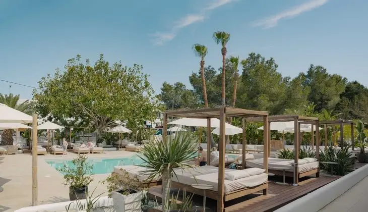 Hotel Boutique & Spa Las Mimosas Ibiza - Havuz