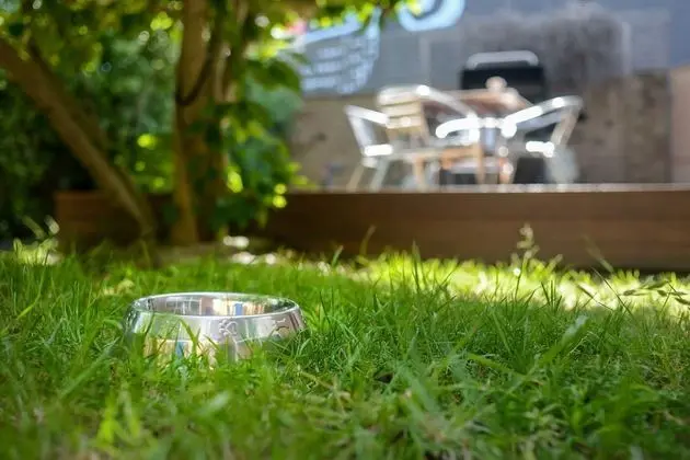 BOUTIQUE STAYS - Sandyside 1 - Dış Mekan