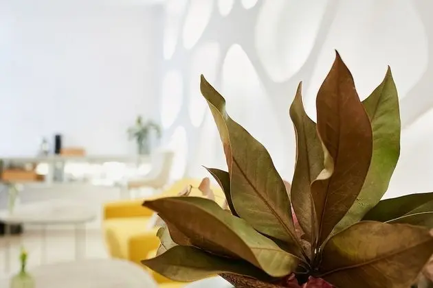 Hotel Boutique Suite Generis - Lobi