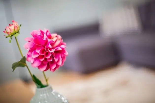 Boutique Hotel t Klooster - Spa