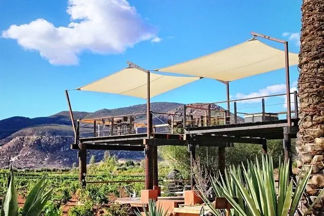 Boutique Valle de Guadalupe - Manzara / Peyzaj