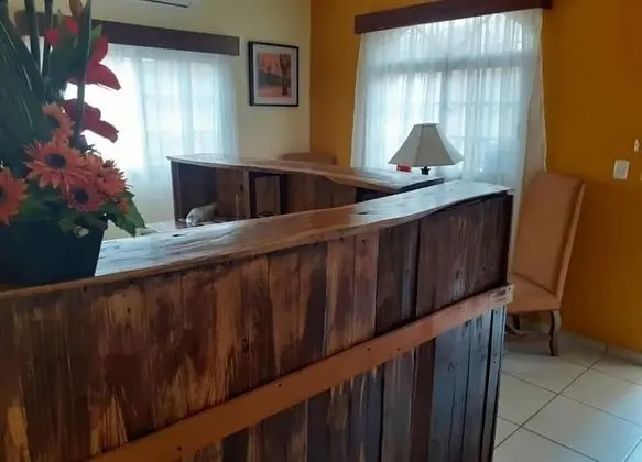 Hotel Boutique Zona Rio - Lobi