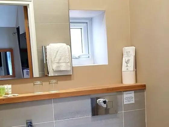 The Bowes Hotel - Banyo Tipleri