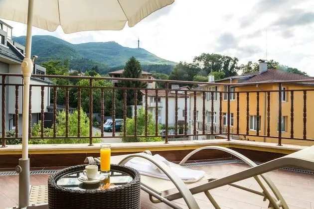 Hotel Villa Boyana