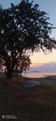 Boz Geyik Pansiyon