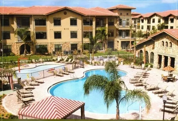 Bp517