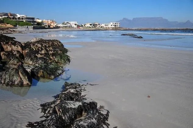 Bradclin Blouberg - Plaj