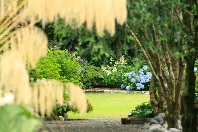 Bradleys Garden Bed & Breakfast - Dış Mekan