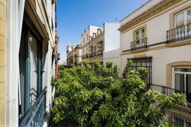 Brand New 2 Bd Apartment Near Cathedral - Vinuesa II