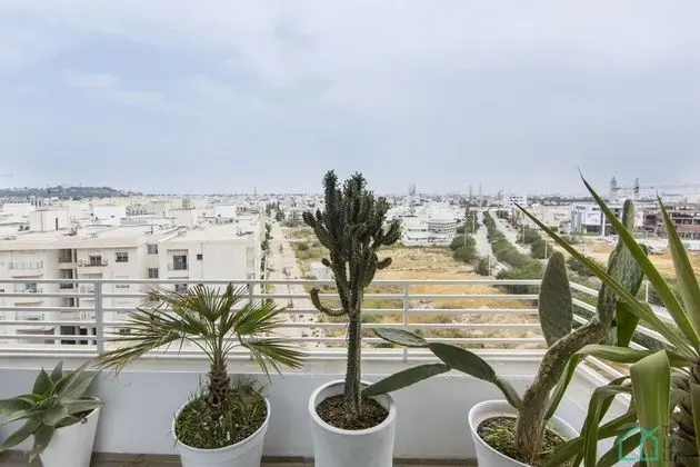 Brand new Spacious 1bd apt With City View