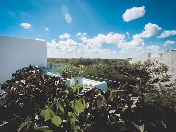 Brand New Two Br Penthouse With a Private Roof Patio Totally Equipped