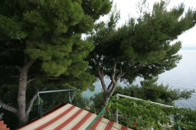 Branka - at the Beach - A1