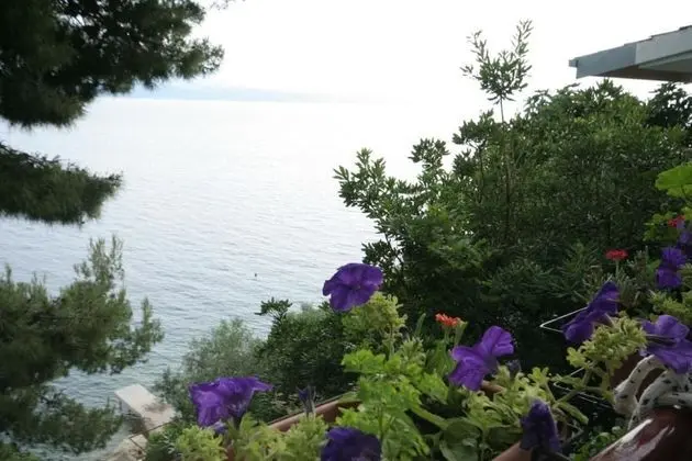 Branka - at the Beach - SA2