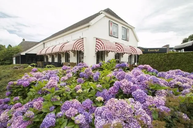 Brasserie Restaurant Hotel Eeserhof - 1