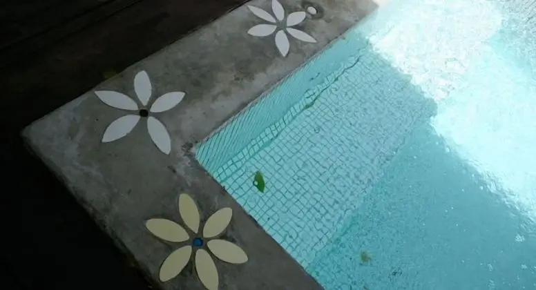 Brassiere Beach Resort - Havuz