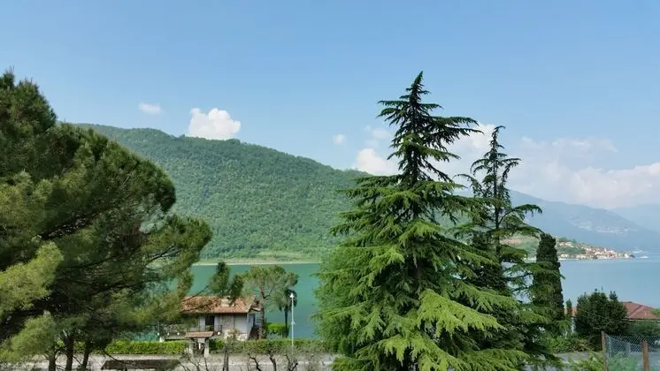 Bredina