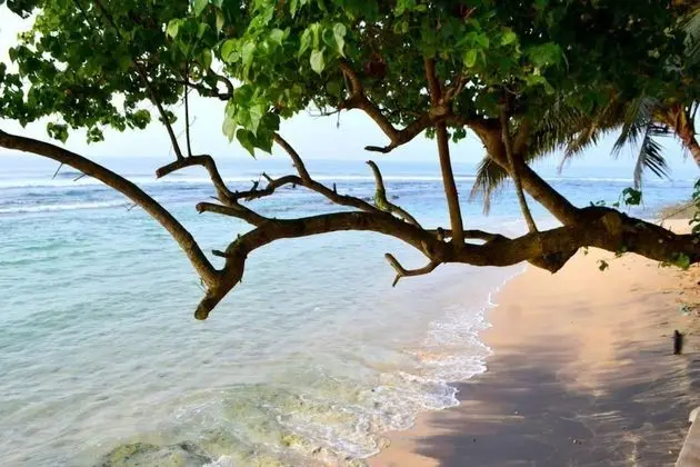 villa breeze thalpe