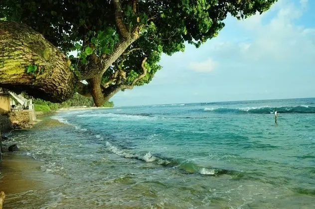 villa breeze thalpe - Plaj
