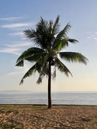 Breezy House Jomtien - Dış Mekan