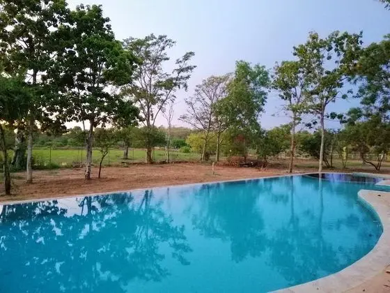 Breezy Lake Eco Friendly Cabanas Yala - Havuz