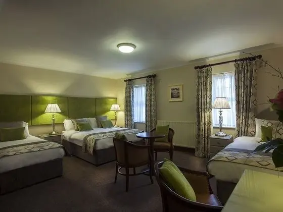Breffni Arms Hotel - Oda