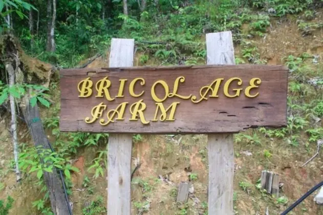 Bricolage Farm and Homestay - Dış Mekan