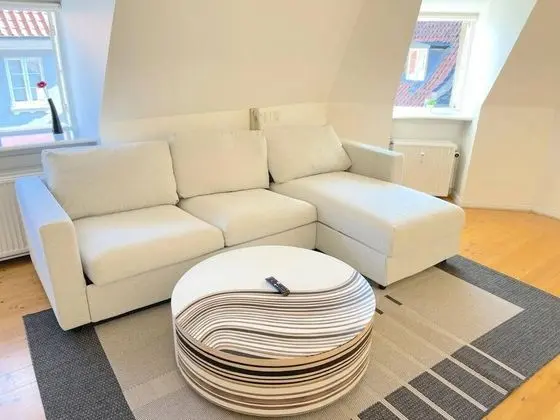Bright Apartment Next to Tivoli Heart of CPH - İç Mekan