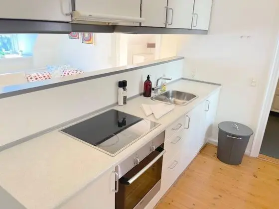 Bright Apartment Next to Tivoli Heart of CPH - Mutfak
