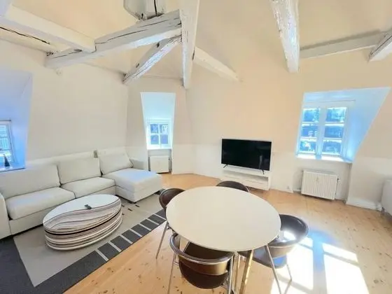 Bright Apartment Next to Tivoli Heart of CPH - Oda