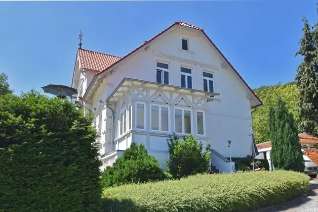 Bright Ground Floor Apartment in Blankenburg in the Harz Mountains With Wood Stove and Library - Dış Mekan