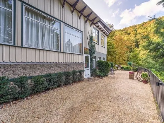 Bright and Modern Apartment With Terrace and Sauna in Bad Harzburg - Dış Mekan