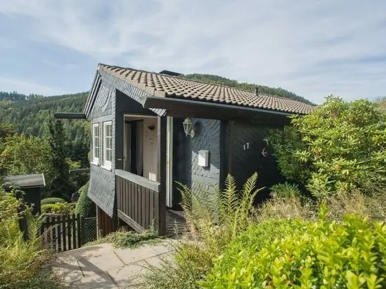 Bright and Modern Holiday Home With Garden Near Winterberg - Öne Çıkan Resim
