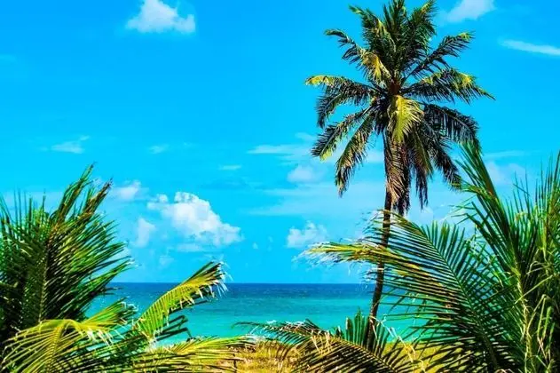 Brisamar Hotel Pousada - Plaj